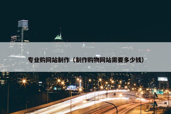 专业购网站制作（制作购物网站需要多少钱）