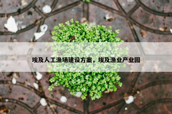 埃及人工渔场建设方案，埃及渔业产业园