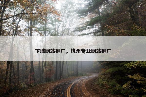 下城网站推广，杭州专业网站推广