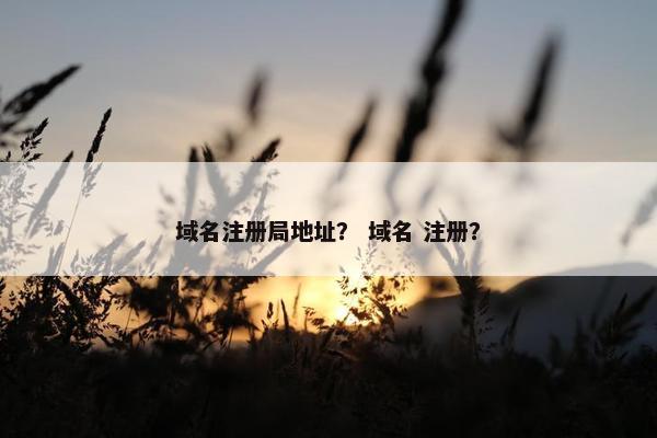 域名注册局地址？ 域名 注册？