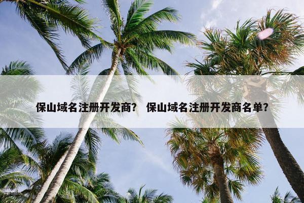 保山域名注册开发商？ 保山域名注册开发商名单？