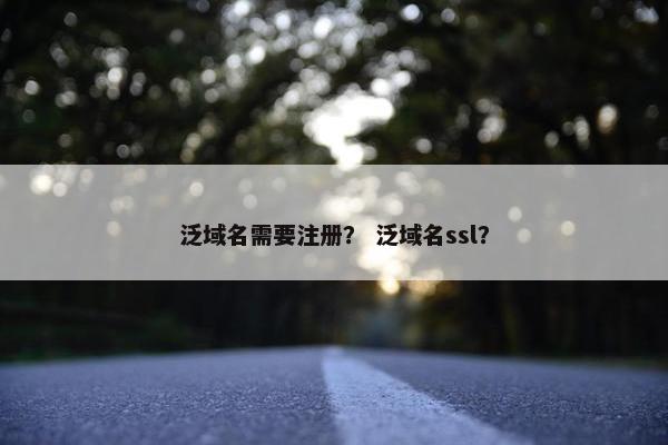 泛域名需要注册？ 泛域名ssl？
