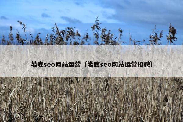 娄底seo网站运营（娄底seo网站运营招聘）