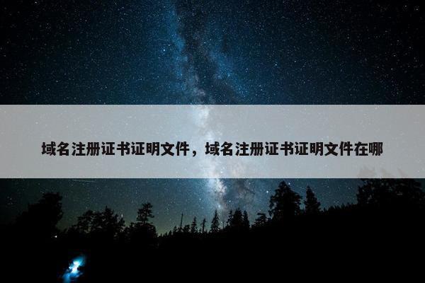 域名注册证书证明文件，域名注册证书证明文件在哪