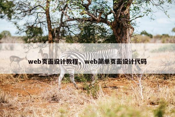 web页面设计教程，web简单页面设计代码