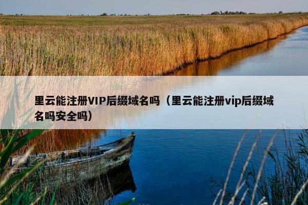里云能注册VIP后缀域名吗（里云能注册vip后缀域名吗安全吗）