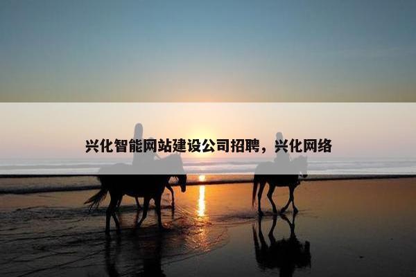 兴化智能网站建设公司招聘，兴化网络