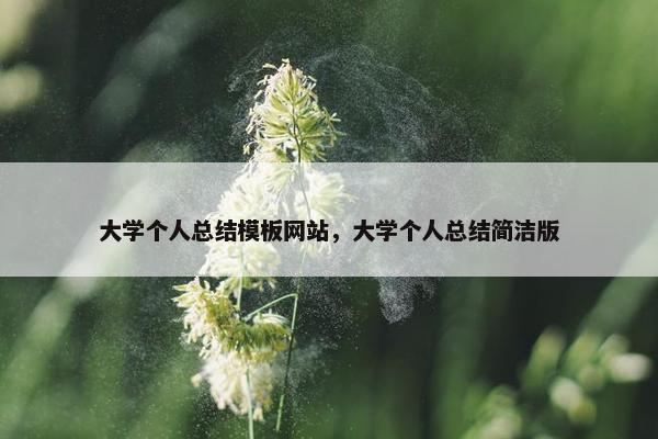大学个人总结模板网站，大学个人总结简洁版