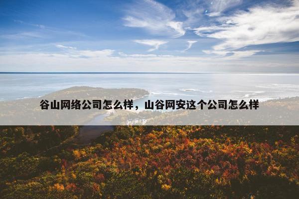 谷山网络公司怎么样，山谷网安这个公司怎么样