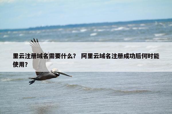 里云注册域名需要什么？ 阿里云域名注册成功后何时能使用？