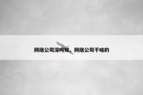 网络公司深吗知，网络公司干啥的