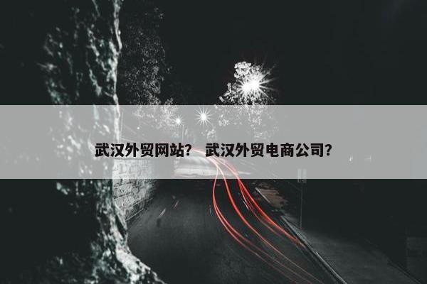 武汉外贸网站？ 武汉外贸电商公司？