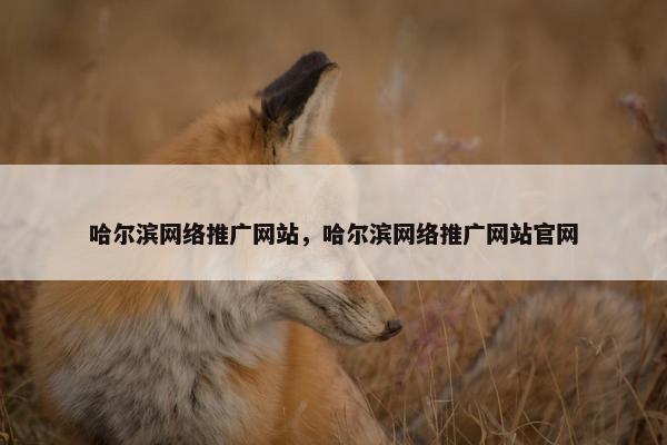 哈尔滨网络推广网站，哈尔滨网络推广网站官网