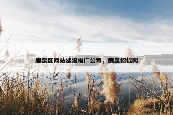 鹿泉区网站建设推广公司，鹿泉招标网
