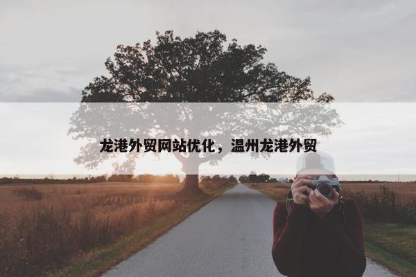 龙港外贸网站优化，温州龙港外贸