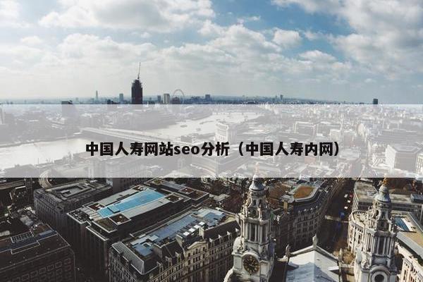 中国人寿网站seo分析（中国人寿内网）
