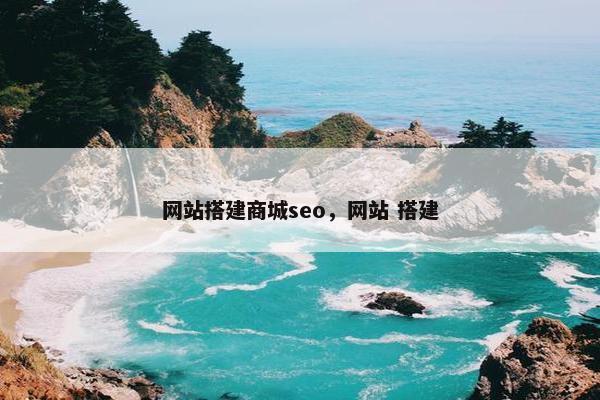 网站搭建商城seo，网站 搭建