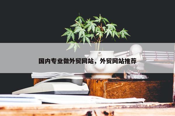 国内专业做外贸网站，外贸网站推荐