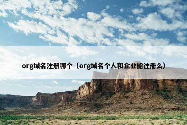 org域名注册哪个（org域名个人和企业能注册么）