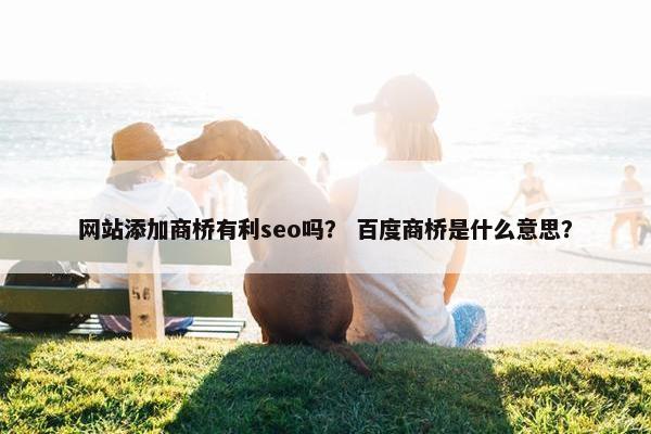 网站添加商桥有利seo吗？ 百度商桥是什么意思？