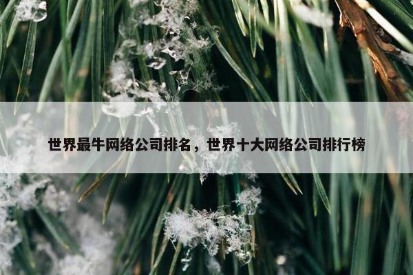 世界最牛网络公司排名，世界十大网络公司排行榜