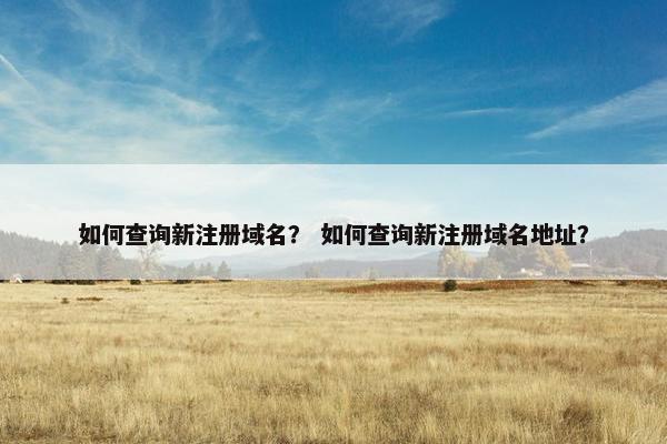 如何查询新注册域名？ 如何查询新注册域名地址？