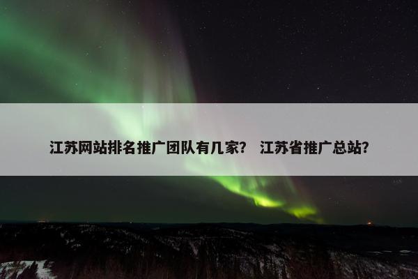 江苏网站排名推广团队有几家？ 江苏省推广总站？
