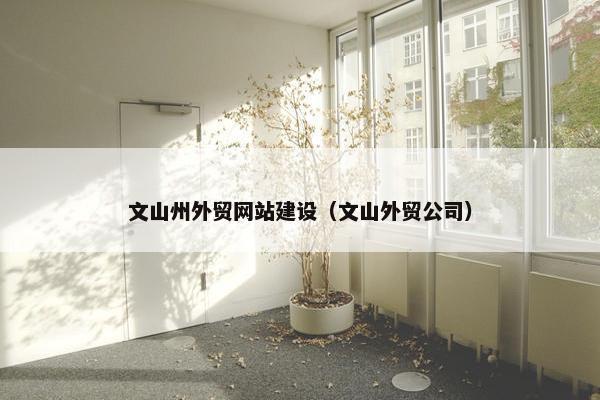 文山州外贸网站建设（文山外贸公司）