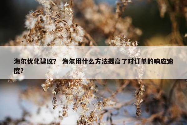 海尔优化建议？ 海尔用什么方法提高了对订单的响应速度？