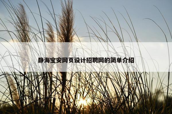 静海宝安网页设计招聘网的简单介绍