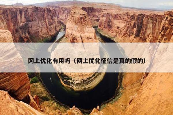网上优化有用吗（网上优化征信是真的假的）