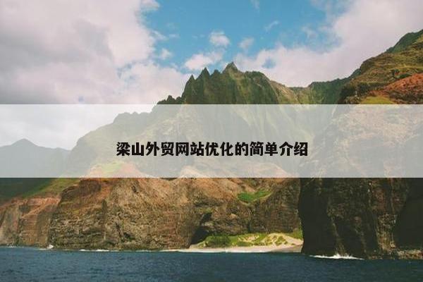 梁山外贸网站优化的简单介绍