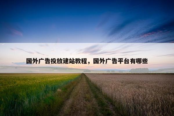 国外广告投放建站教程，国外广告平台有哪些