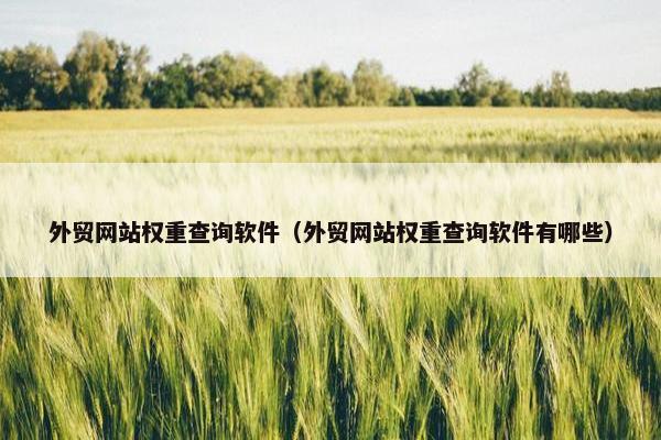 外贸网站权重查询软件（外贸网站权重查询软件有哪些）