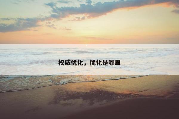 权威优化，优化是哪里