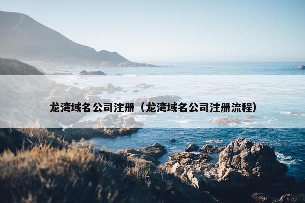 龙湾域名公司注册（龙湾域名公司注册流程）