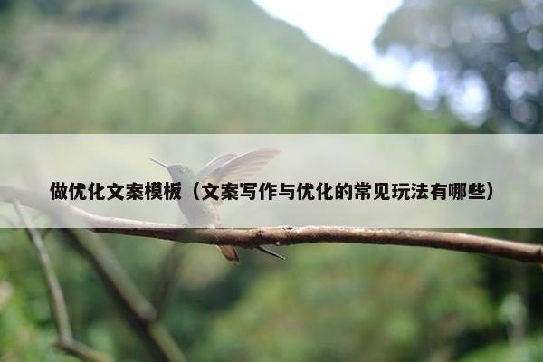 做优化文案模板（文案写作与优化的常见玩法有哪些）