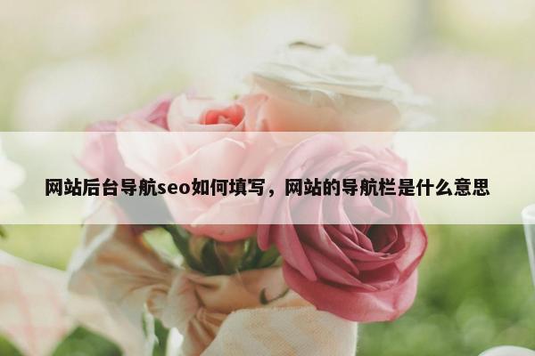 网站后台导航seo如何填写，网站的导航栏是什么意思