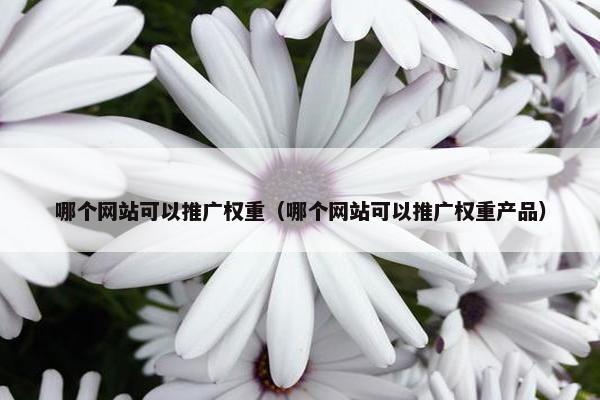 哪个网站可以推广权重（哪个网站可以推广权重产品）