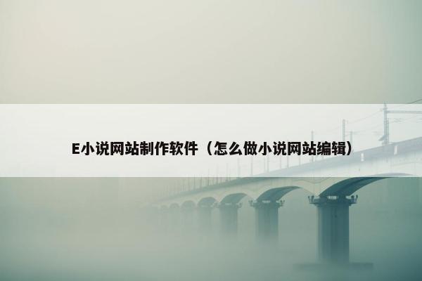 E小说网站制作软件（怎么做小说网站编辑）