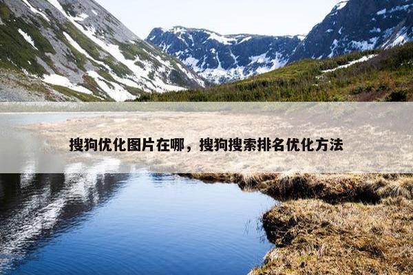 搜狗优化图片在哪，搜狗搜索排名优化方法