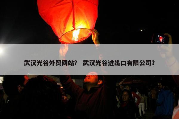 武汉光谷外贸网站？ 武汉光谷进出口有限公司？