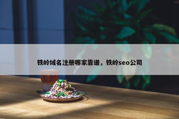 铁岭域名注册哪家靠谱，铁岭seo公司