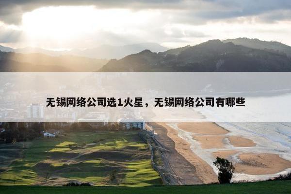 无锡网络公司选1火星，无锡网络公司有哪些
