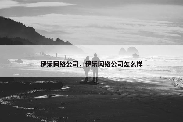 伊乐网络公司，伊乐网络公司怎么样