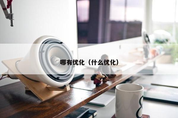 哪有优化（什么优化）