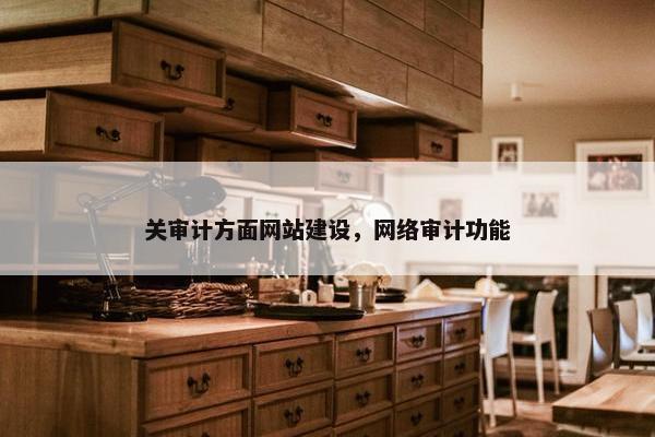 关审计方面网站建设，网络审计功能