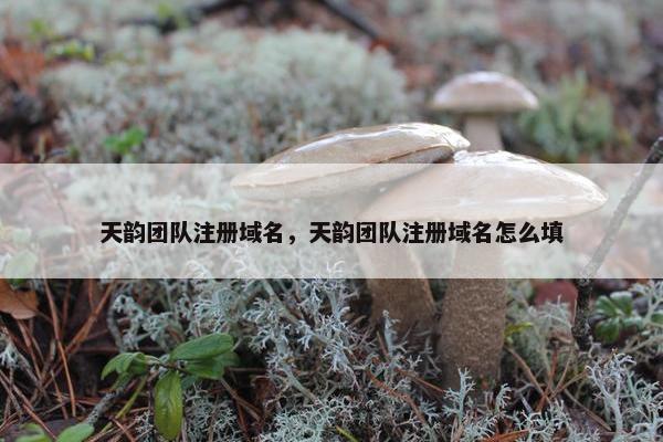 天韵团队注册域名，天韵团队注册域名怎么填