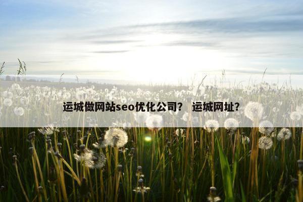运城做网站seo优化公司？ 运城网址？