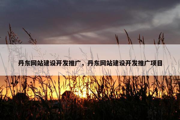 丹东网站建设开发推广，丹东网站建设开发推广项目